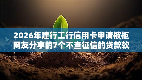 2026年建行工行信用卡申请被拒网友分享的7个不查征信的贷款软件我觉得不错！