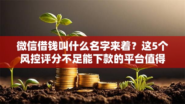 微信借钱叫什么名字来着?这5个风控评分不足能下款的平台值得一试 微信借钱叫什么名字来着?这5个风控评分不足能下款的平台值得一试