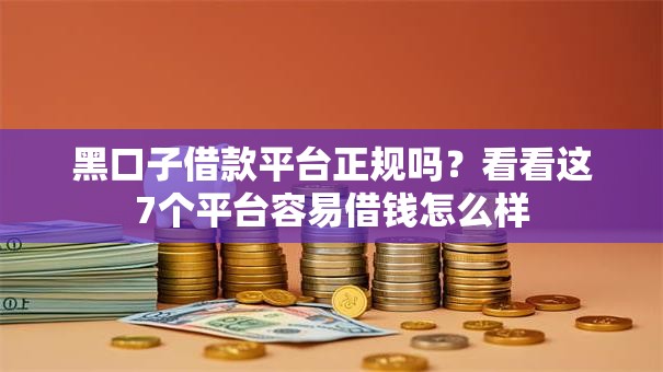 黑口子借款平台正规吗？看看这7个平台容易借钱怎么样