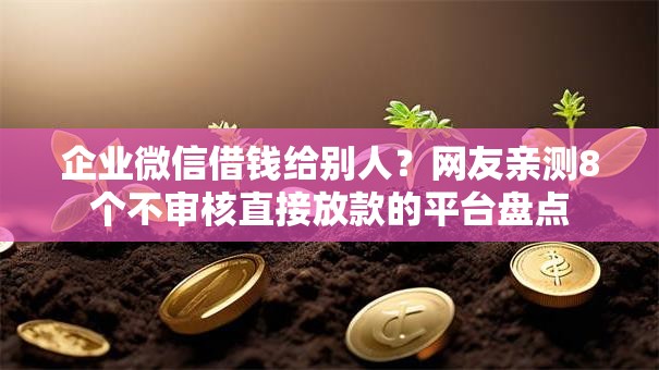 企业微信借钱给别人？网友亲测8个不审核直接放款的平台盘点
