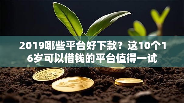 2019哪些平台好下款？这10个16岁可以借钱的平台值得一试