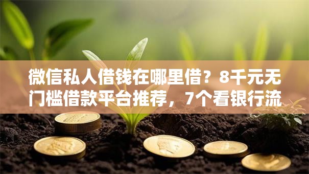 微信私人借钱在哪里借？8千元无门槛借款平台推荐，7个看银行流水的网贷平台盘点