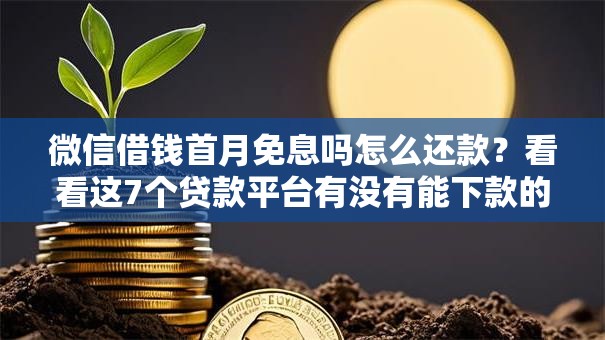 微信借钱首月免息吗怎么还款?看看这7个贷款平台有没有能下款的 微信借钱首月免息吗怎么还款?看看这7个贷款平台有没有能下款的