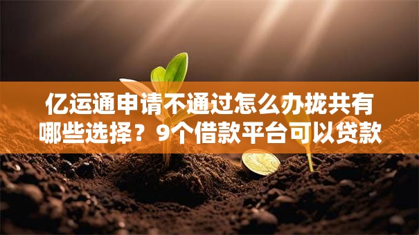 亿运通申请不通过怎么办拢共有哪些选择?9个借款平台可以贷款详解 亿运通申请不通过怎么办拢共有哪些选择?9个借款平台可以贷款详解