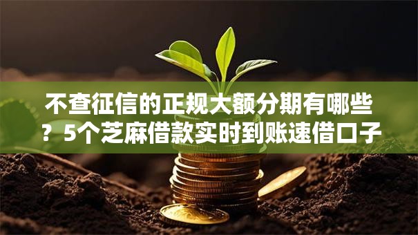 不查征信的正规大额分期有哪些？5个芝麻借款实时到账速借口子推荐给你