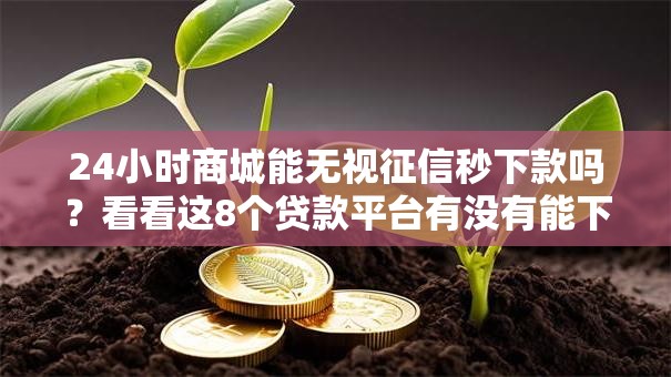 24小时商城能无视征信秒下款吗？看看这8个贷款平台有没有能下款的