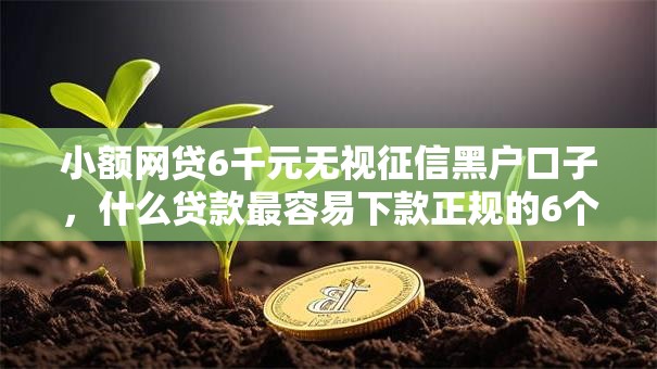 小额网贷6千元无视征信黑户口子，什么贷款最容易下款正规的6个平台介绍