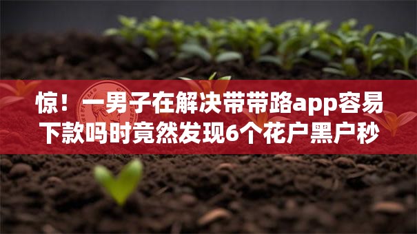 惊！一男子在解决带带路app容易下款吗时竟然发现6个花户黑户秒下的口子，事后分享了出来