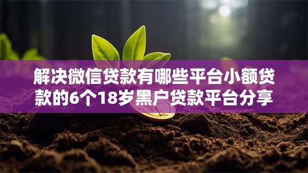解决微信贷款有哪些平台小额贷款的6个18岁黑户贷款平台分享