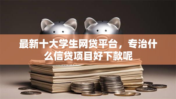 最新十大学生网贷平台，专治什么信贷项目好下款呢
