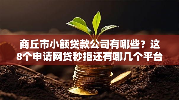 商丘市小额贷款公司有哪些？这8个申请网贷秒拒还有哪几个平台可以借值得一试