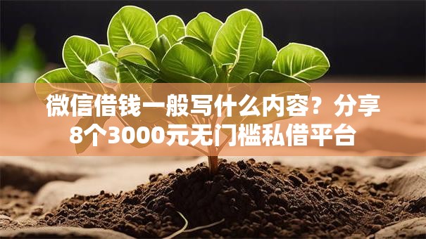 微信借钱一般写什么内容？分享8个3000元无门槛私借平台