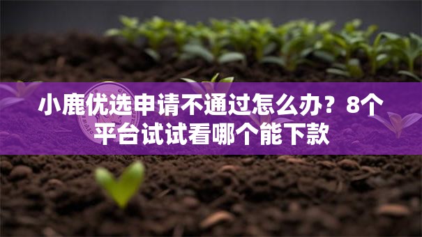 小鹿优选申请不通过怎么办？8个平台试试看哪个能下款