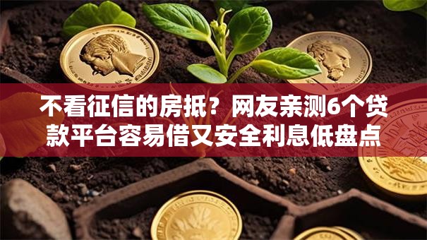 不看征信的房抵?网友亲测6个贷款平台容易借又安全利息低盘点 不看征信的房抵?网友亲测6个贷款平台容易借又安全利息低盘点