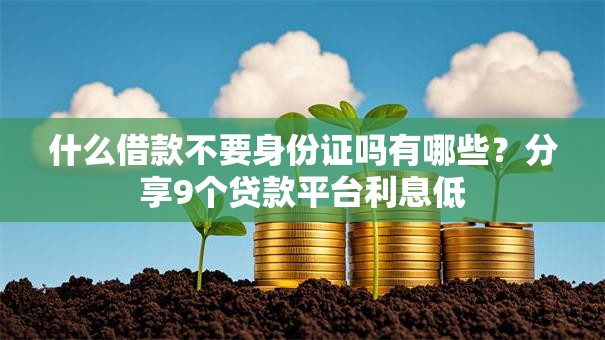 什么借款不要身份证吗有哪些？分享9个贷款平台利息低