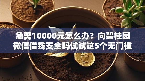 急需10000元怎么办？向碧桂园微信借钱安全吗试试这5个无门槛平台