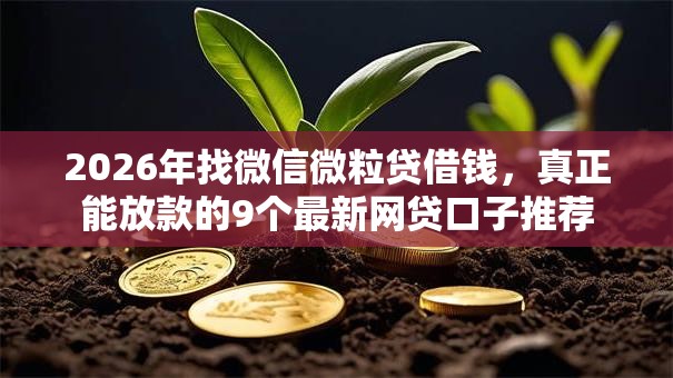 2026年找微信微粒贷借钱，真正能放款的9个最新网贷口子推荐