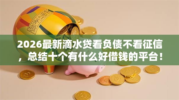 2026最新滴水贷看负债不看征信，总结十个有什么好借钱的平台！