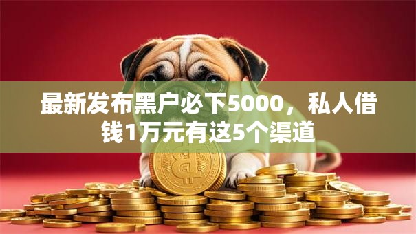 最新发布黑户必下5000，私人借钱1万元有这5个渠道