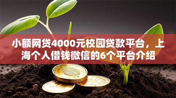 小额网贷4000元校园贷款平台，上海个人借钱微信的6个平台介绍