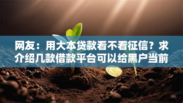 网友：用大本贷款看不看征信？求介绍几款借款平台可以给黑户当前有逾期的借款一万