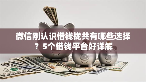 微信刚认识借钱拢共有哪些选择？5个借钱平台好详解