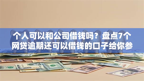 个人可以和公司借钱吗？盘点7个网贷逾期还可以借钱的口子给你参考