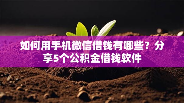 如何用手机微信借钱有哪些？分享5个公积金借钱软件