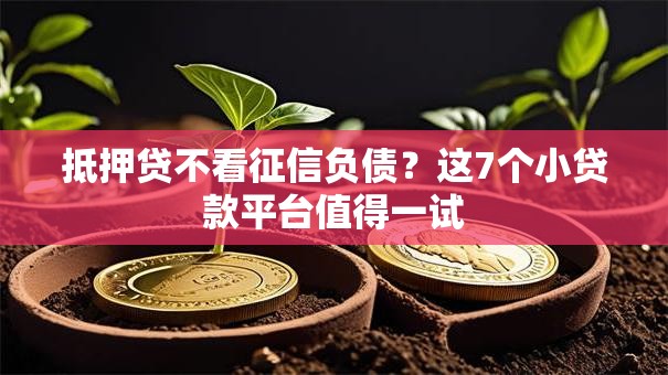 抵押贷不看征信负债？这7个小贷款平台值得一试