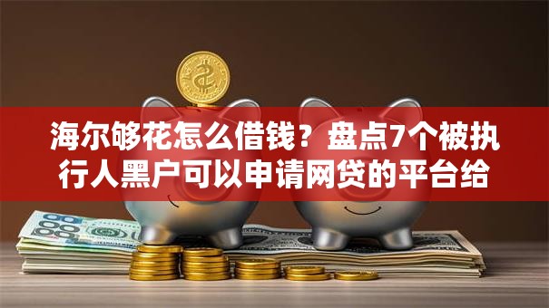 海尔够花怎么借钱？盘点7个被执行人黑户可以申请网贷的平台给你参考