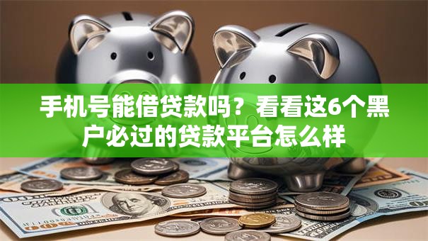 手机号能借贷款吗？看看这6个黑户必过的贷款平台怎么样