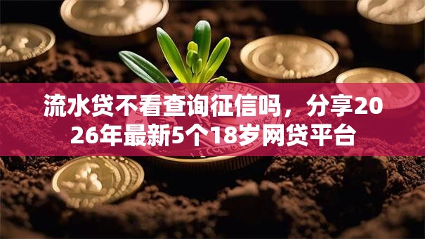 流水贷不看查询征信吗，分享2026年最新5个18岁网贷平台