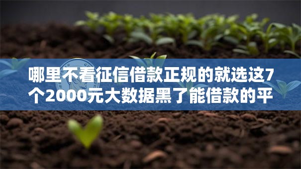 哪里不看征信借款正规的就选这7个2000元大数据黑了能借款的平台 哪里不看征信借款正规的就选这7个2000元大数据黑了能借款的平台
