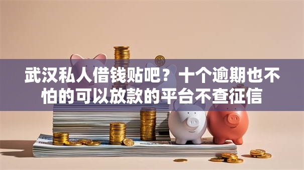武汉私人借钱贴吧?十个逾期也不怕的可以放款的平台不查征信 武汉私人借钱贴吧?十个逾期也不怕的可以放款的平台不查征信