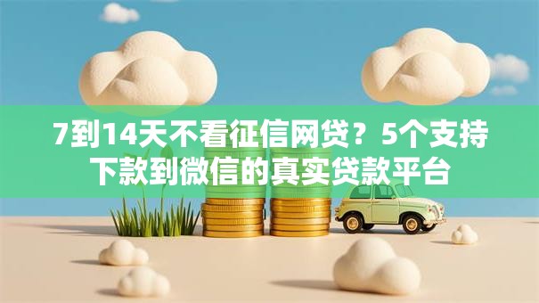 7到14天不看征信网贷？5个支持下款到微信的真实贷款平台
