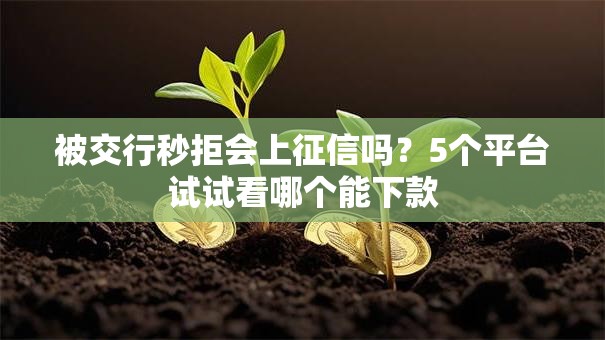 被交行秒拒会上征信吗？5个平台试试看哪个能下款