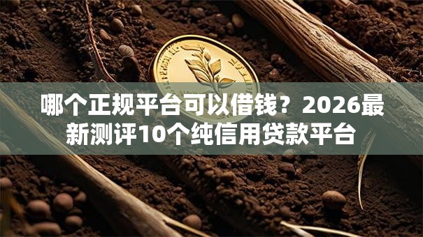 哪个正规平台可以借钱？2026最新测评10个纯信用贷款平台