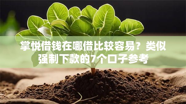 掌悦借钱在哪借比较容易?类似强制下款的7个口子参考 掌悦借钱在哪借比较容易?类似强制下款的7个口子参考