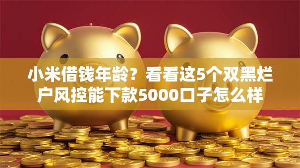 小米借钱年龄?看看这5个双黑烂户风控能下款5000口子怎么样 小米借钱年龄?看看这5个双黑烂户风控能下款5000口子怎么样