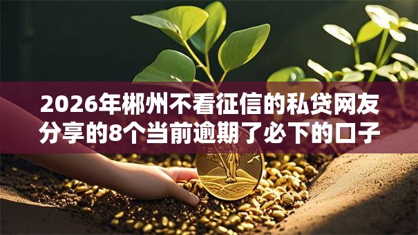 2026年郴州不看征信的私贷网友分享的8个当前逾期了必下的口子我觉得不错! 2026年郴州不看征信的私贷网友分享的8个当前逾期了必下的口子我觉得不错!