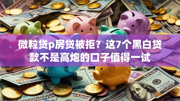 微粒贷p房贷被拒？这7个黑白贷款不是高炮的口子值得一试
