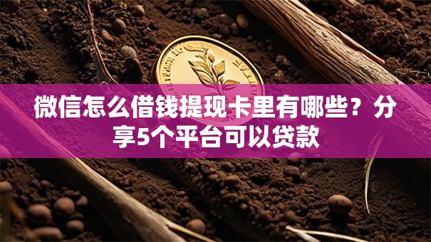 微信怎么借钱提现卡里有哪些？分享5个平台可以贷款
