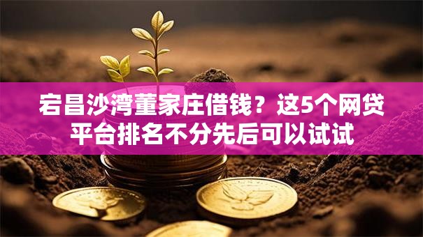 宕昌沙湾董家庄借钱？这5个网贷平台排名不分先后可以试试
