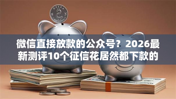 微信直接放款的公众号？2026最新测评10个征信花居然都下款的口子