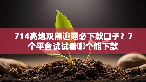 714高炮双黑逾期必下款口子？7个平台试试看哪个能下款