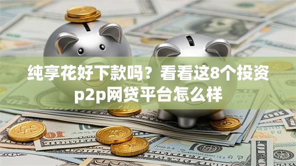 纯享花好下款吗？看看这8个投资p2p网贷平台怎么样