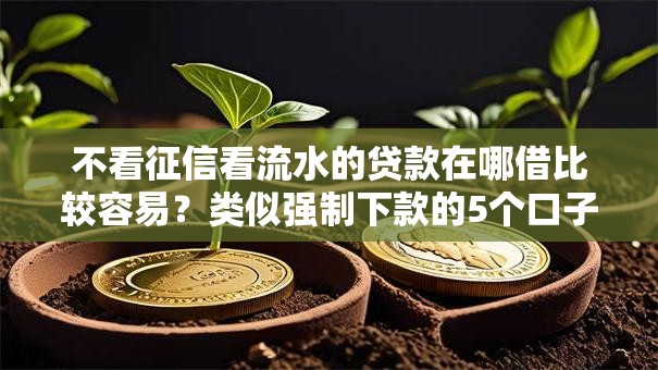 不看征信看流水的贷款在哪借比较容易？类似强制下款的5个口子参考