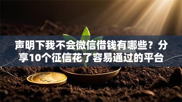 声明下我不会微信借钱有哪些?分享10个征信花了容易通过的平台借款 声明下我不会微信借钱有哪些?分享10个征信花了容易通过的平台借款
