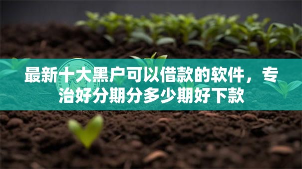 最新十大黑户可以借款的软件，专治好分期分多少期好下款