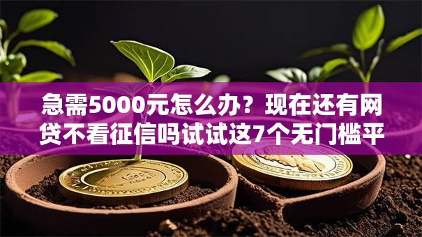 急需5000元怎么办？现在还有网贷不看征信吗试试这7个无门槛平台
